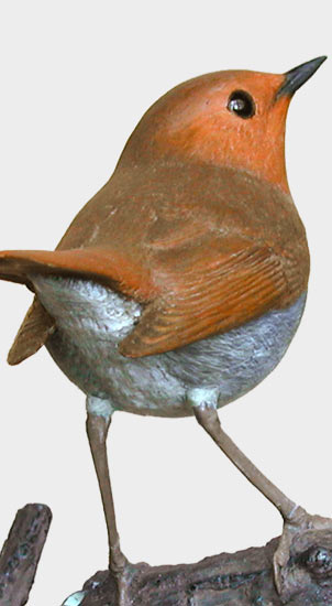 コマドリ（駒鳥）Larvivora akahige（旧 Erithacus akahige）