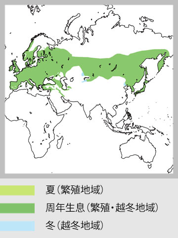 生息地