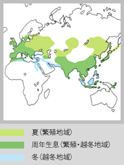 生息地