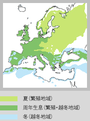 生息地