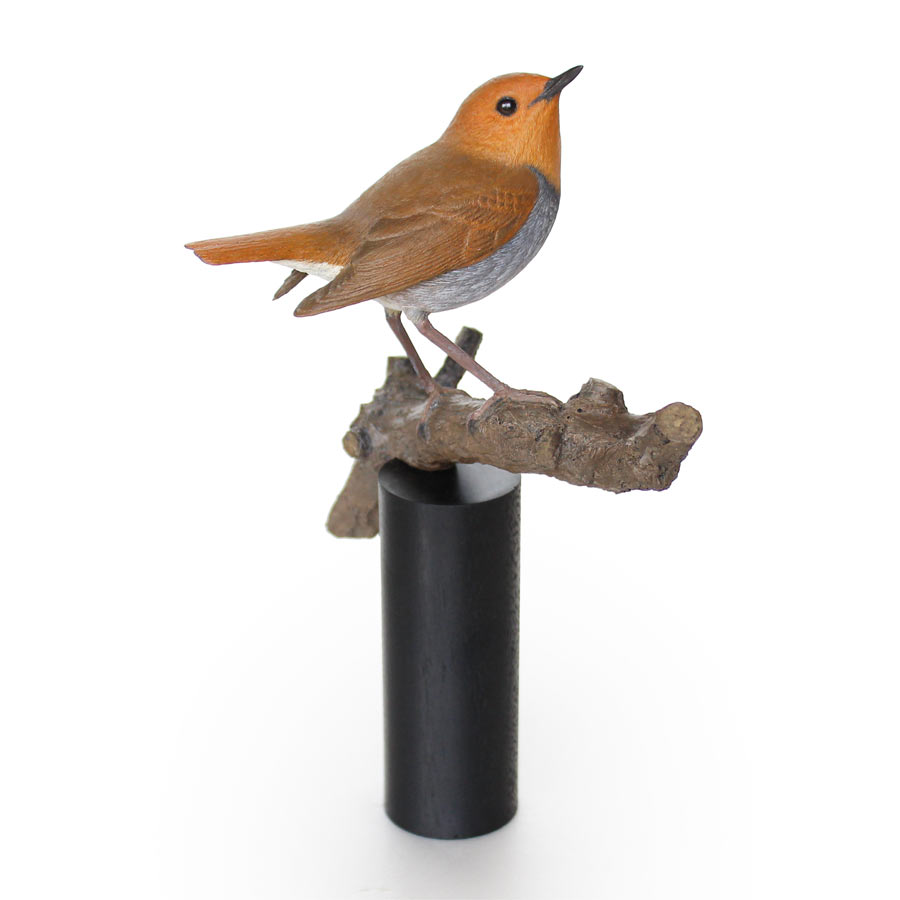 コマドリ（駒鳥） Japanese Robin Larvivora akahige（旧 Erithacus akahige）