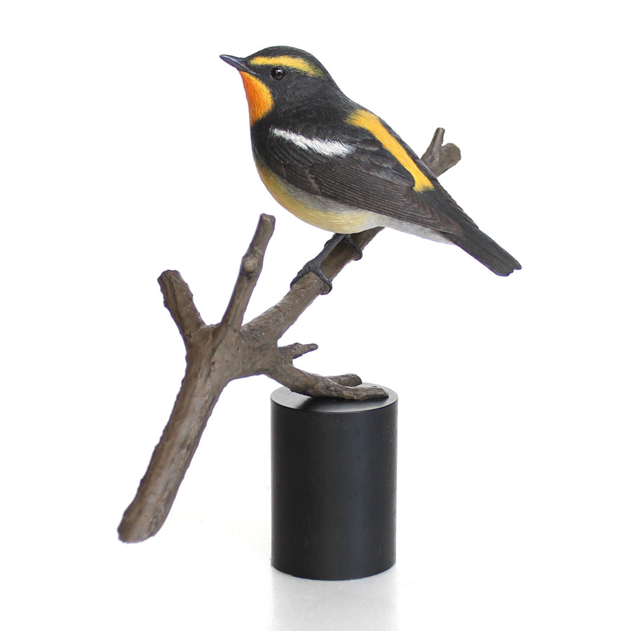 キビタキ（黄鶲） Narcissus Flycatcher Ficedula narcissina