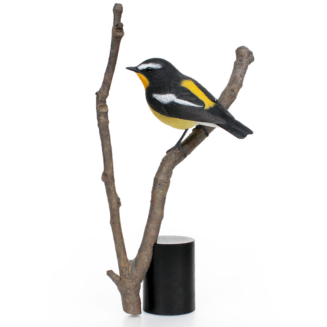 マミジロキビタキ（眉白黄鶲） Yellow-rumped Flycatcher Ficedula zanthopygia