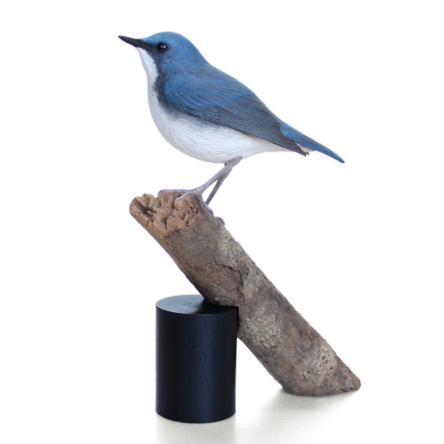 コルリ（小瑠璃） Siberian Blue Robin Larvivora cyane