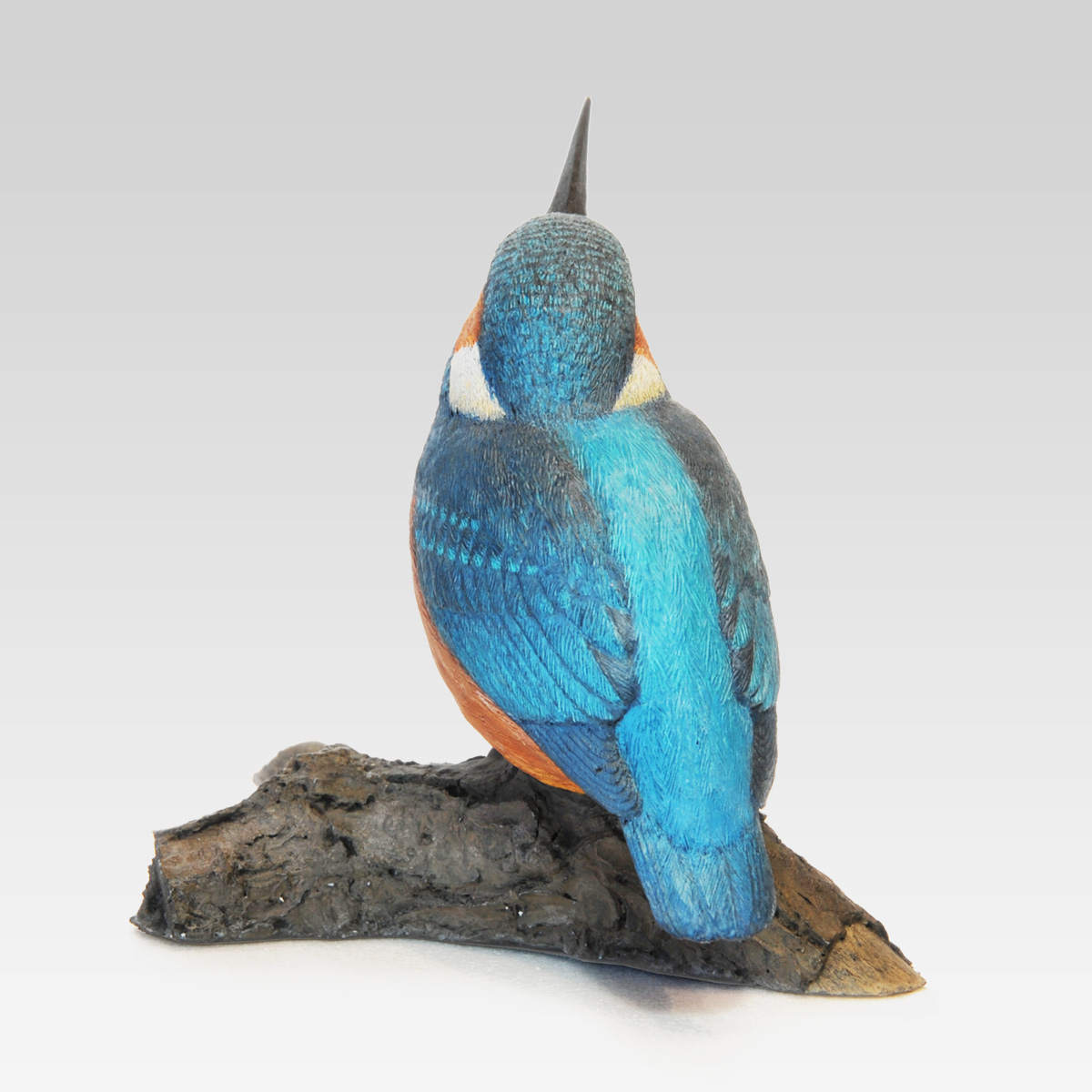 Alcedo_atthis-4.jpg
