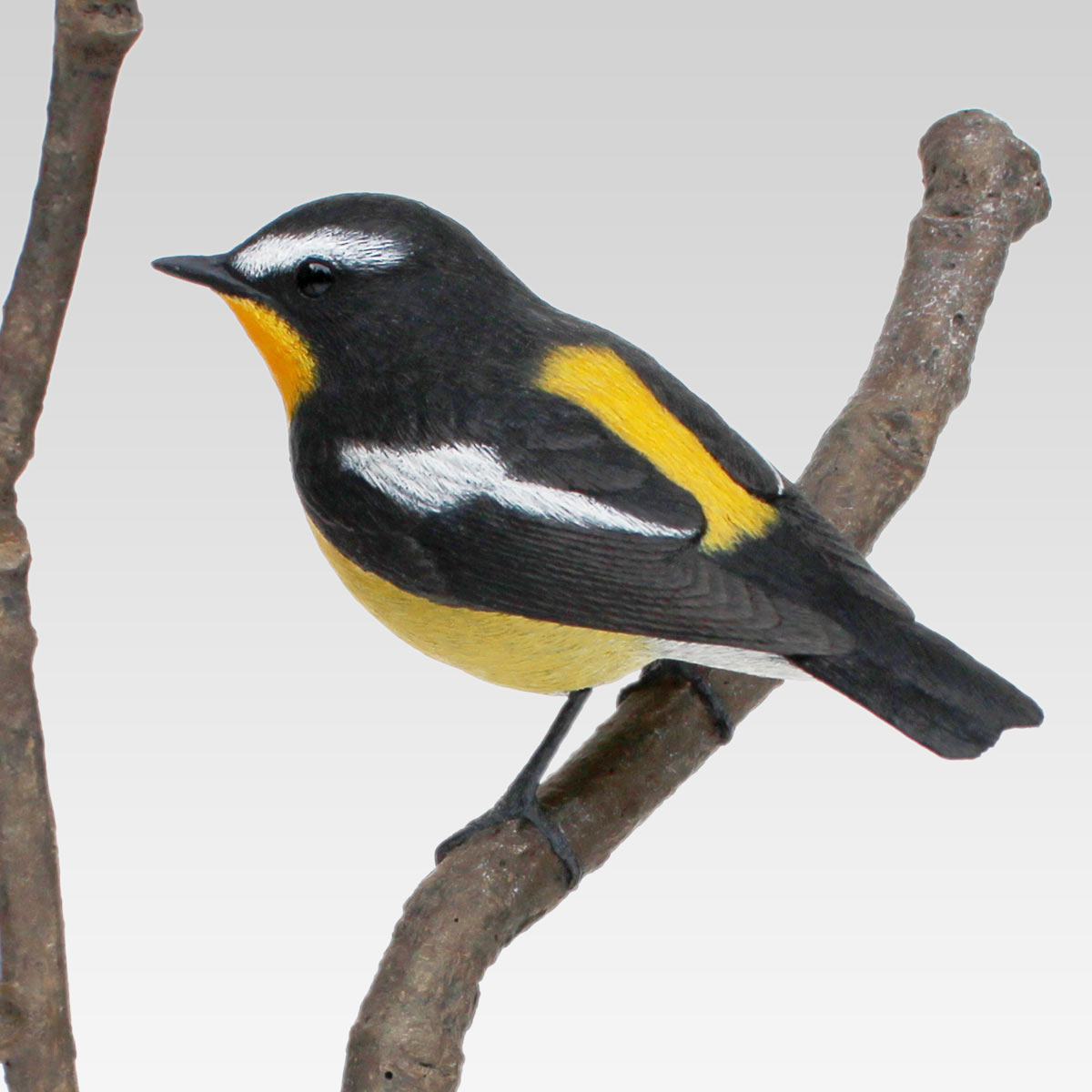 Ficedula_zanthopygia.jpg