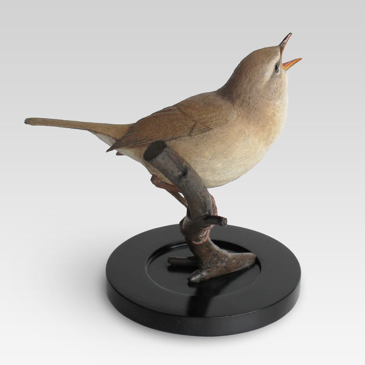 Horornis_diphone-12.jpg